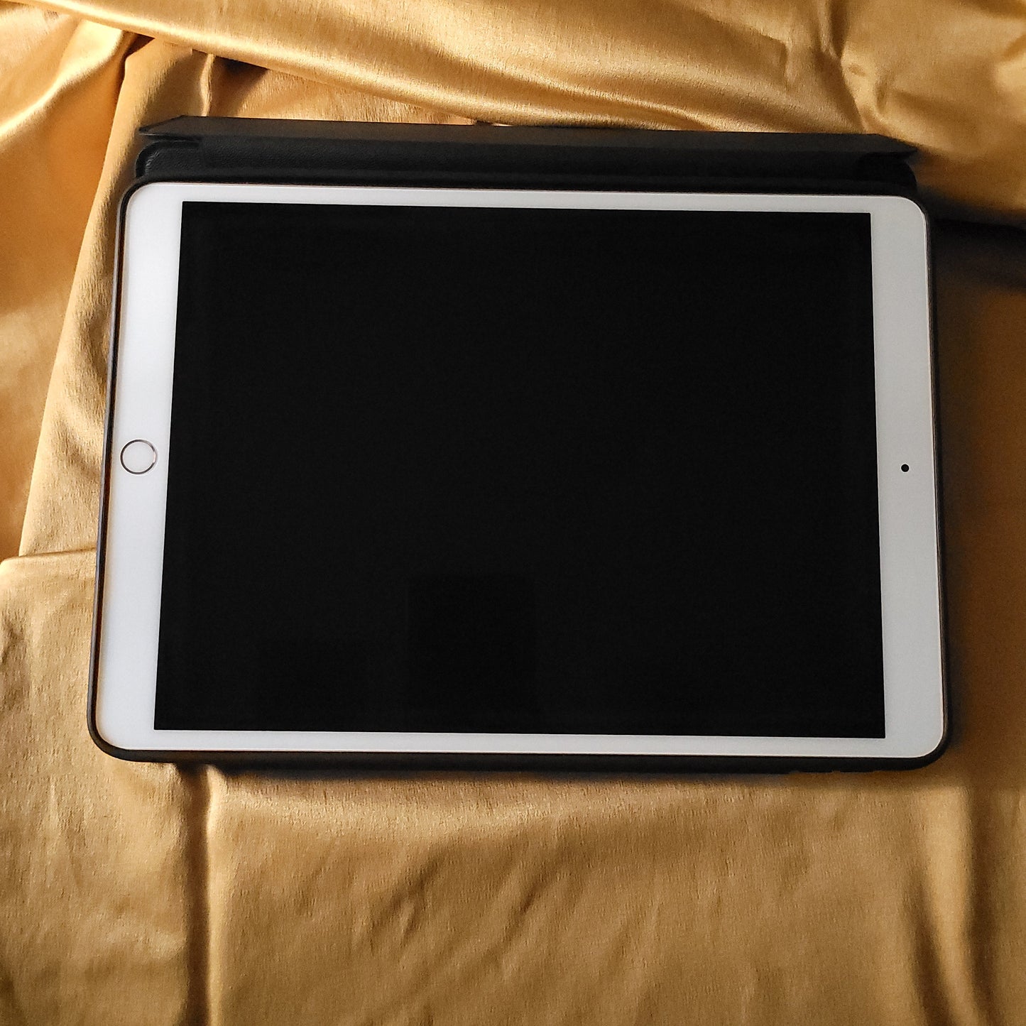 Apple iPad