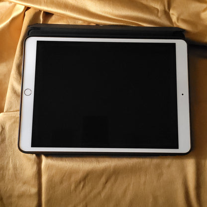 Apple iPad